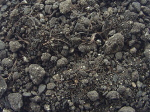 Organic compost product which rich in Humic Acid