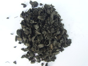 PKS Base Biochar