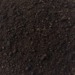 Organic Compost from CH Biotech