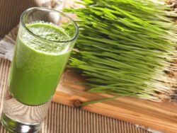 Fresh Wheatgrass Drink