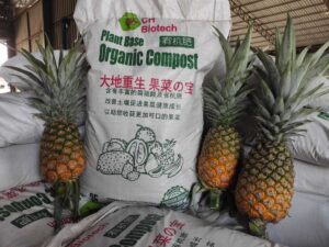 Organic Compost