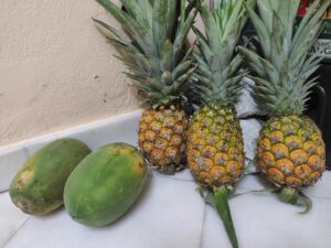 Fruit Industry