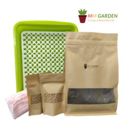 Plant Wheatgrass with Growing Kit